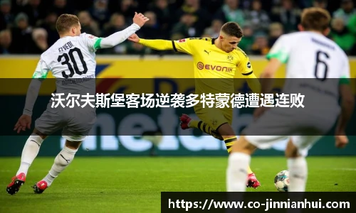 金年会
