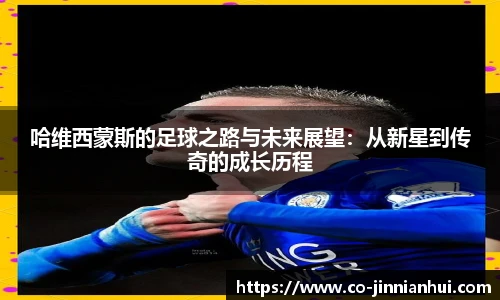 jinnianhui金年会